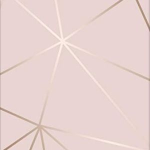 Meet your Posher, Francisco